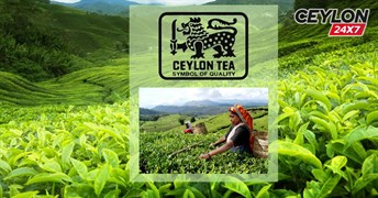 Знак качества цейлонского чая - читайте в нашем блоге