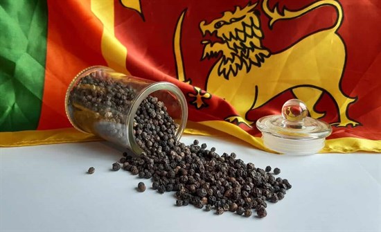 Ceylon black pepper photo