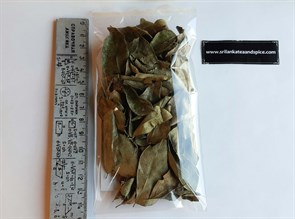 Curry leaves pack photo